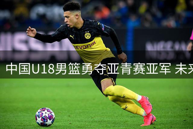中国U18男篮勇夺亚青赛亚军 未来可期