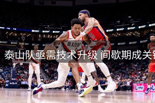 泰山队亟需技术升级 间歇期成关键调整节点